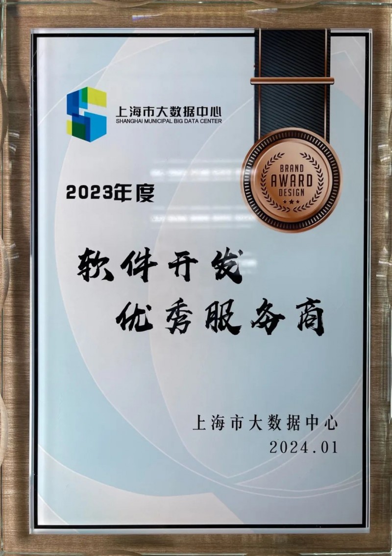 软件定制开发：构建企业专属竞争力
